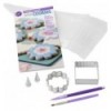 Wilton Aprendo Yo Solo -Cookies/Galletas