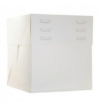 CAJA ALTA PASTELES 24X24X28 CM