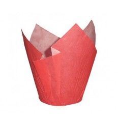 Tulipas rojas/50 ud
