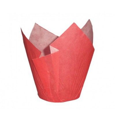 Tulipas rojas/50 ud
