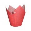 Tulipas rojas/50 ud